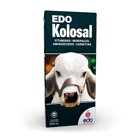 EDO KOLOSAL X 500 ML